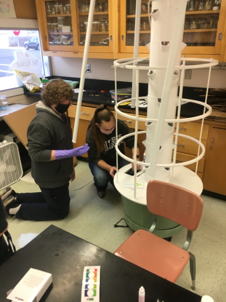 Students putting tower gardens together 