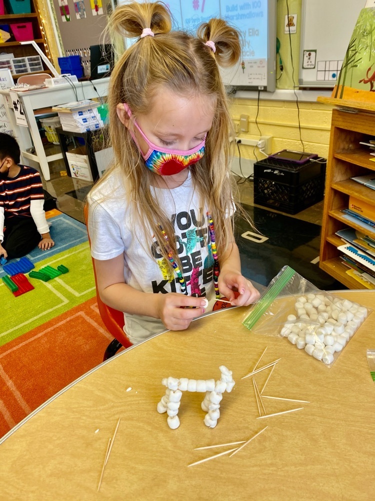 Building with 100 marshmallows.
